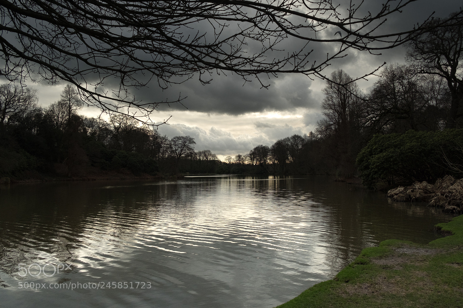 Fujifilm X-T2 sample photo. Sheffield park lake at photography