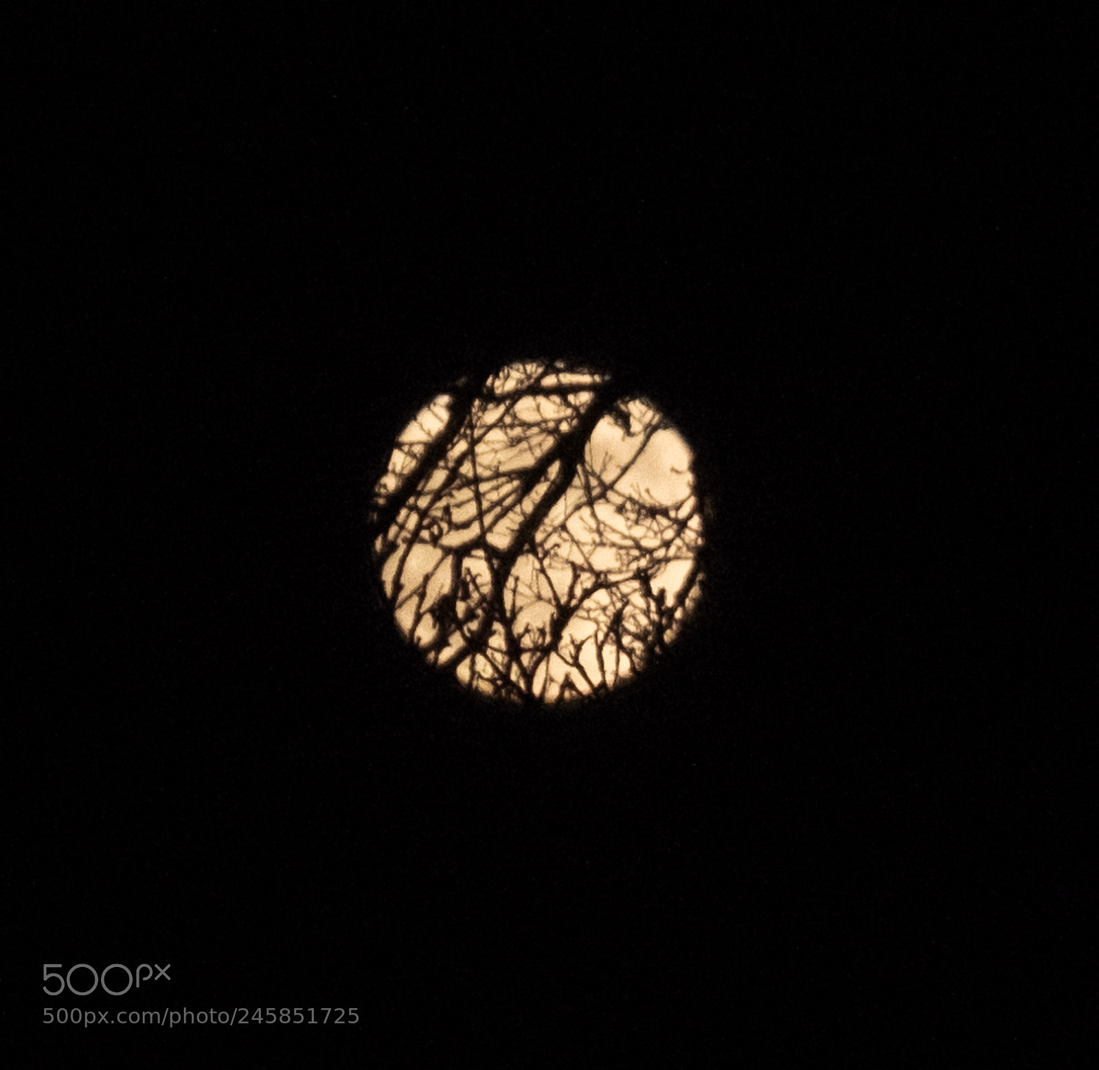Fujifilm X-T2 sample photo. Moonlight photography