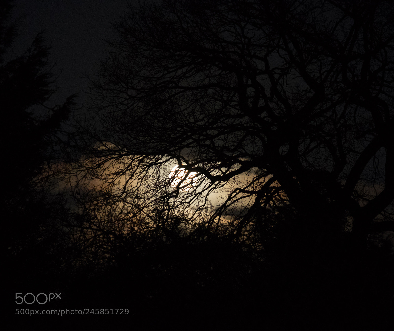 Fujifilm X-T2 sample photo. Moonshine photography