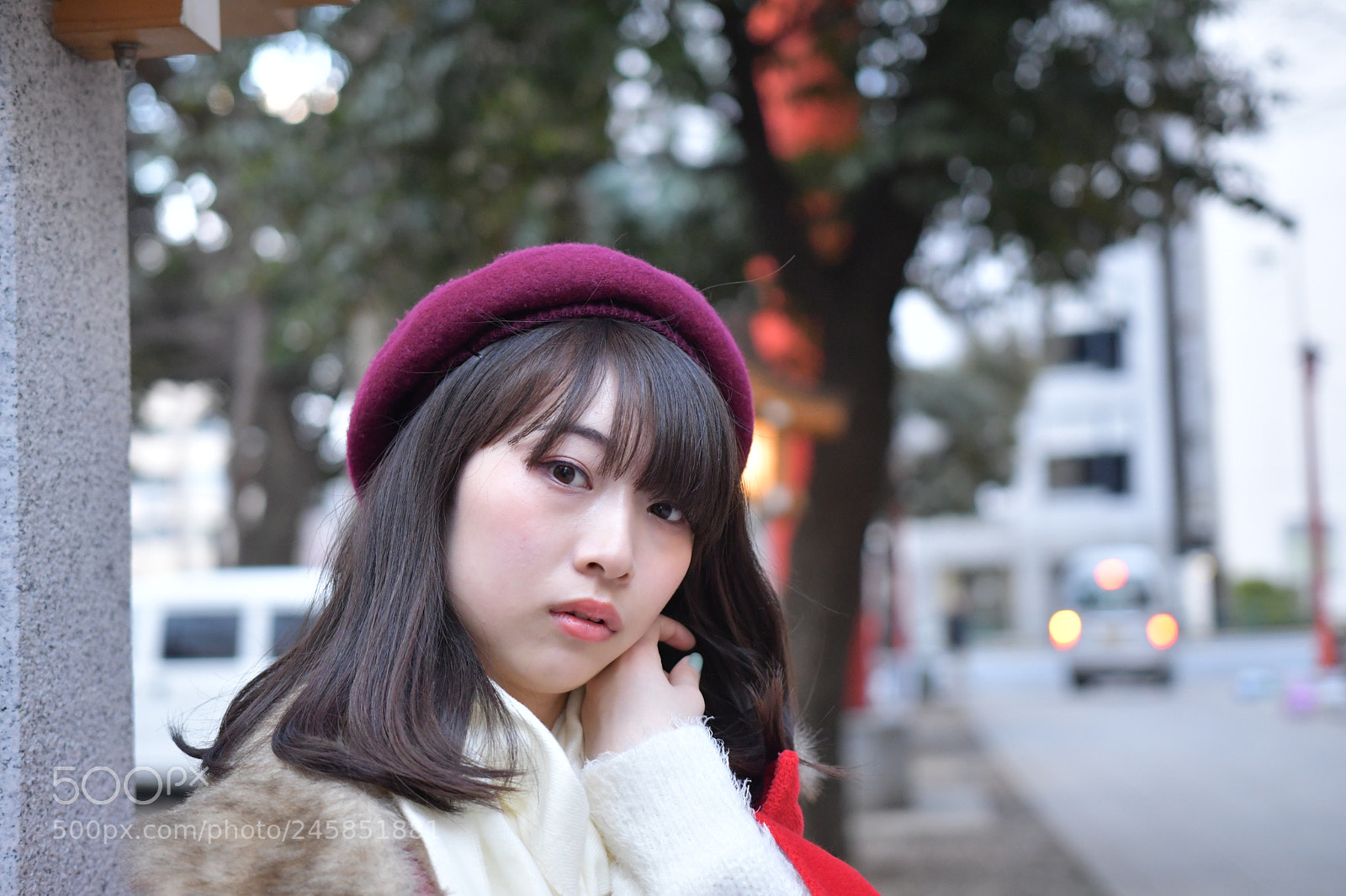 Nikon D500 sample photo. Untitled photography