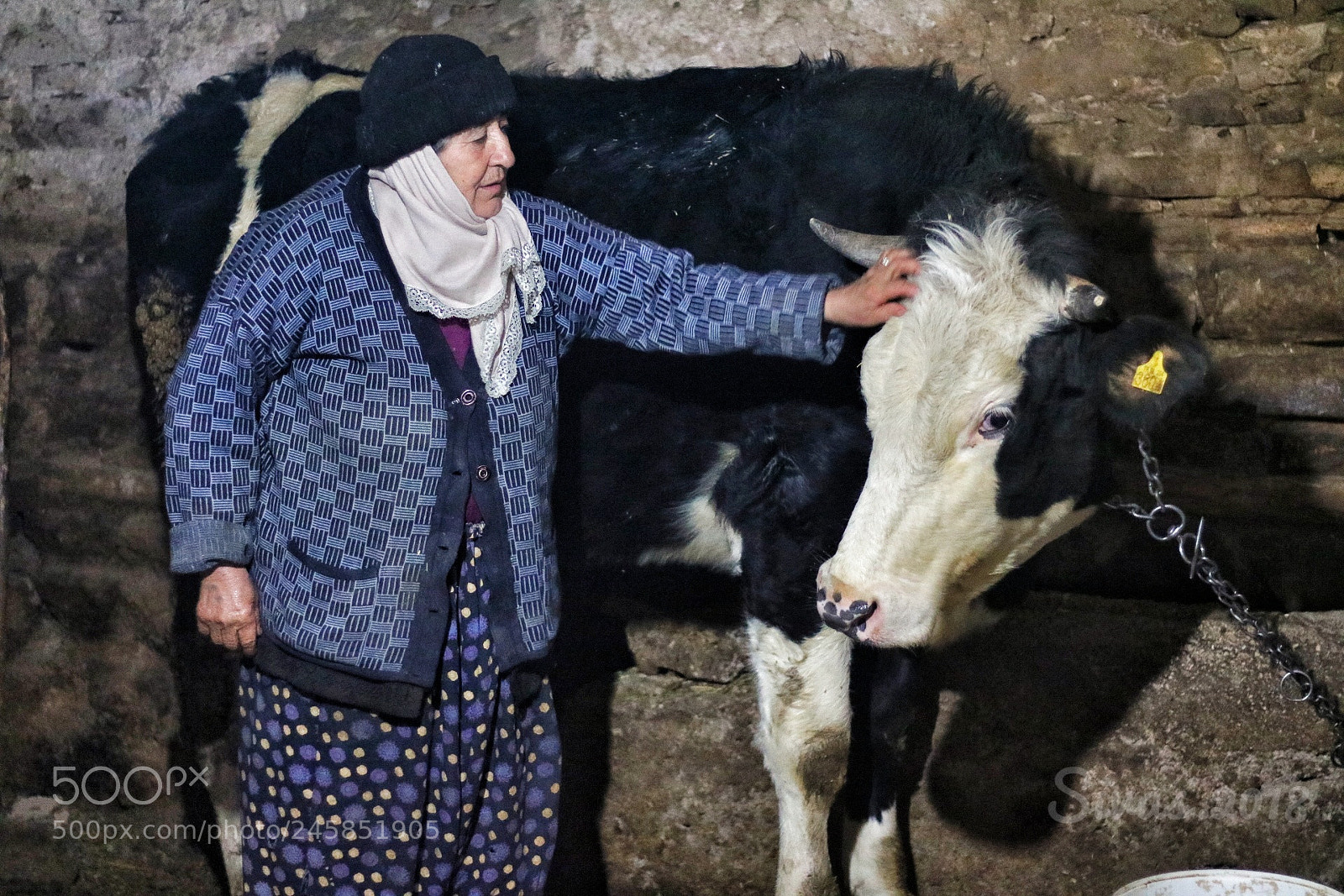 Canon EOS 750D (EOS Rebel T6i / EOS Kiss X8i) sample photo. Anatolialife photography