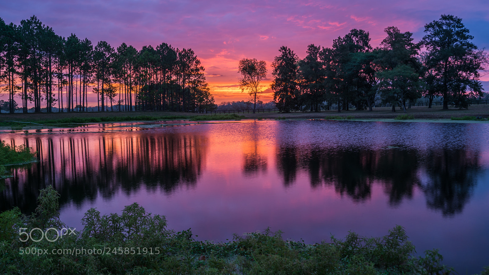 Sony a7R II sample photo. Colors of sunset photography