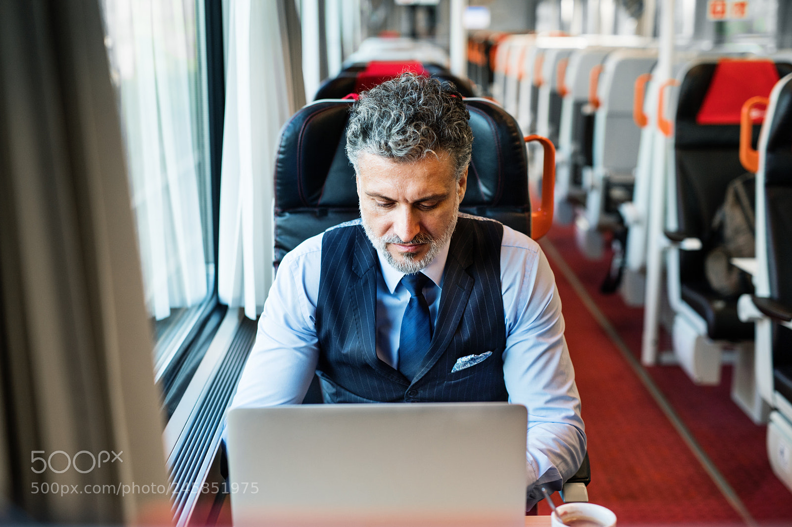 Nikon D5 sample photo. Mature businessman with laptop photography