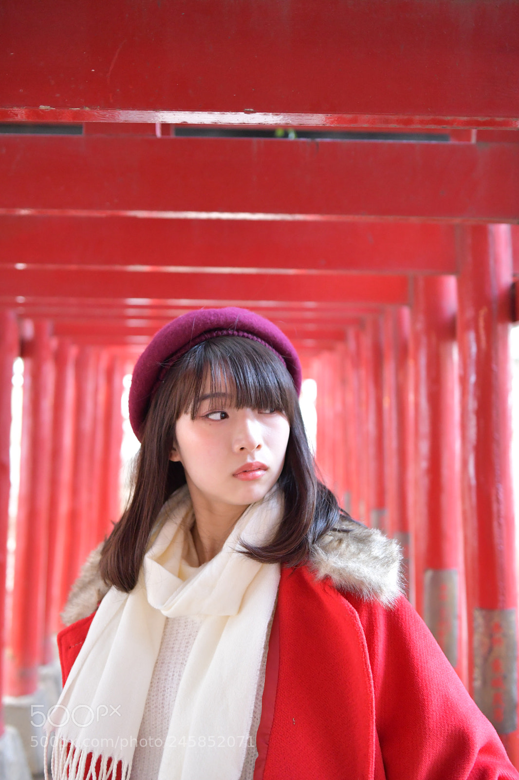 Nikon D500 sample photo. Untitled photography