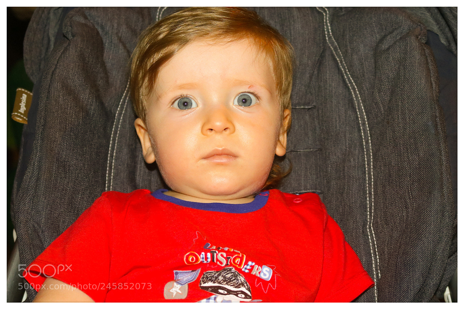 Canon EOS 750D (EOS Rebel T6i / EOS Kiss X8i) sample photo. Banbino alla sfilata del photography