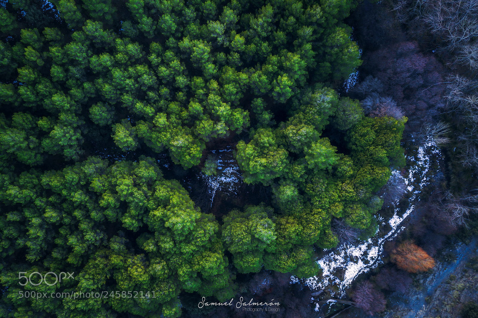 DJI FC220 sample photo. Opposite sing photography