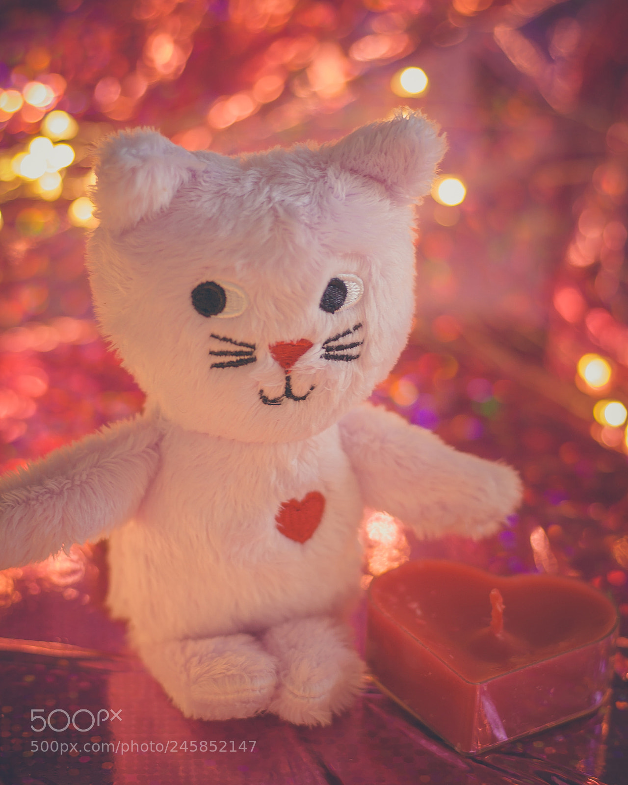 Canon EOS 1000D (EOS Digital Rebel XS / EOS Kiss F) sample photo. 176 - sweet valentines photography