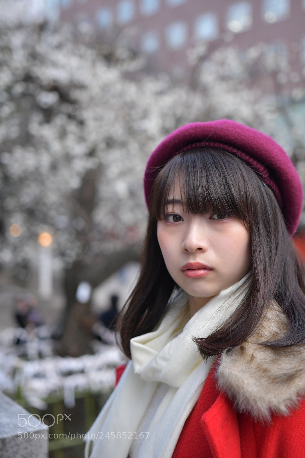 Nikon D500 sample photo. Untitled photography