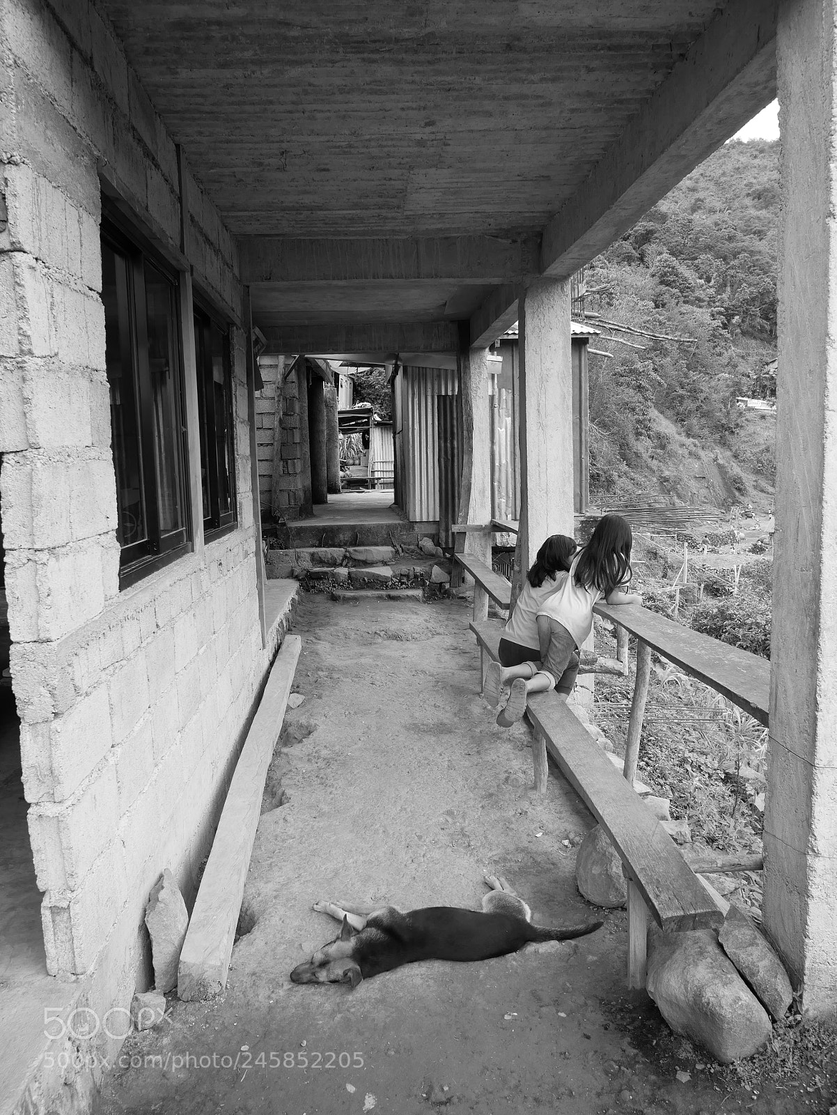 Panasonic Lumix DMC-GX85 (Lumix DMC-GX80 / Lumix DMC-GX7 Mark II) sample photo. Dog chilling,girls chatting, nov photography