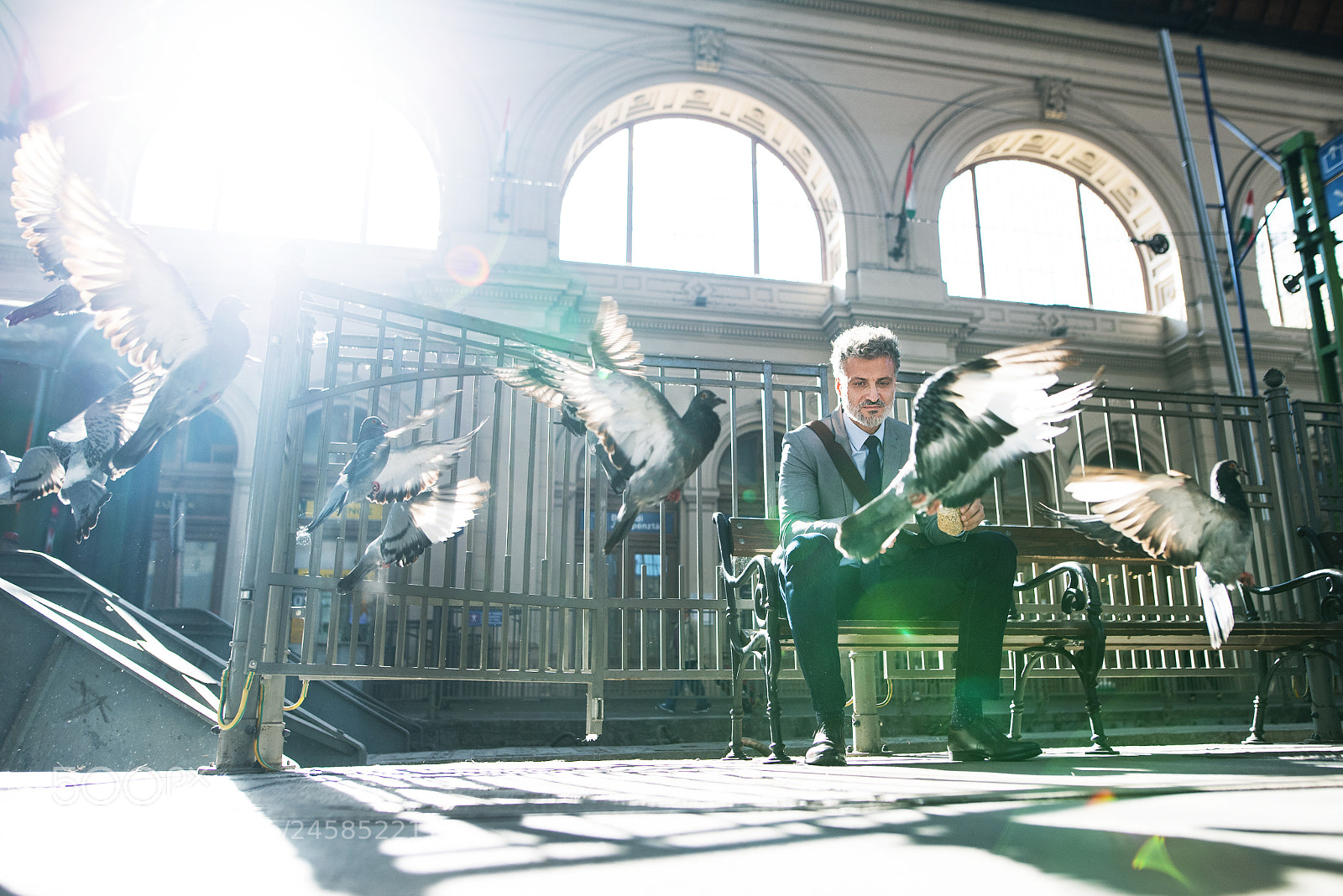 Nikon D5 sample photo. Mature businessman on a photography