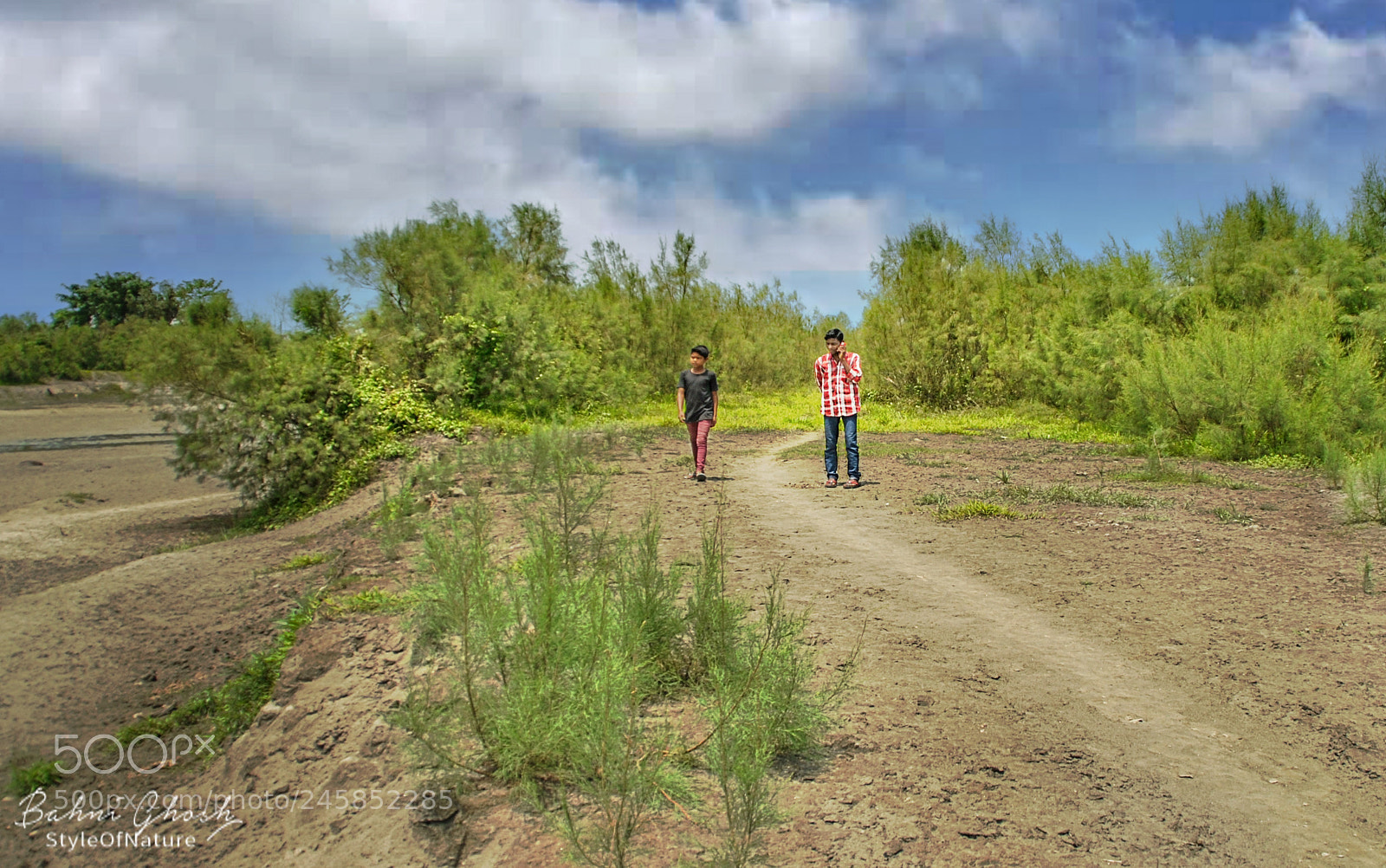 Nikon D3000 sample photo. In jungle_road photography
