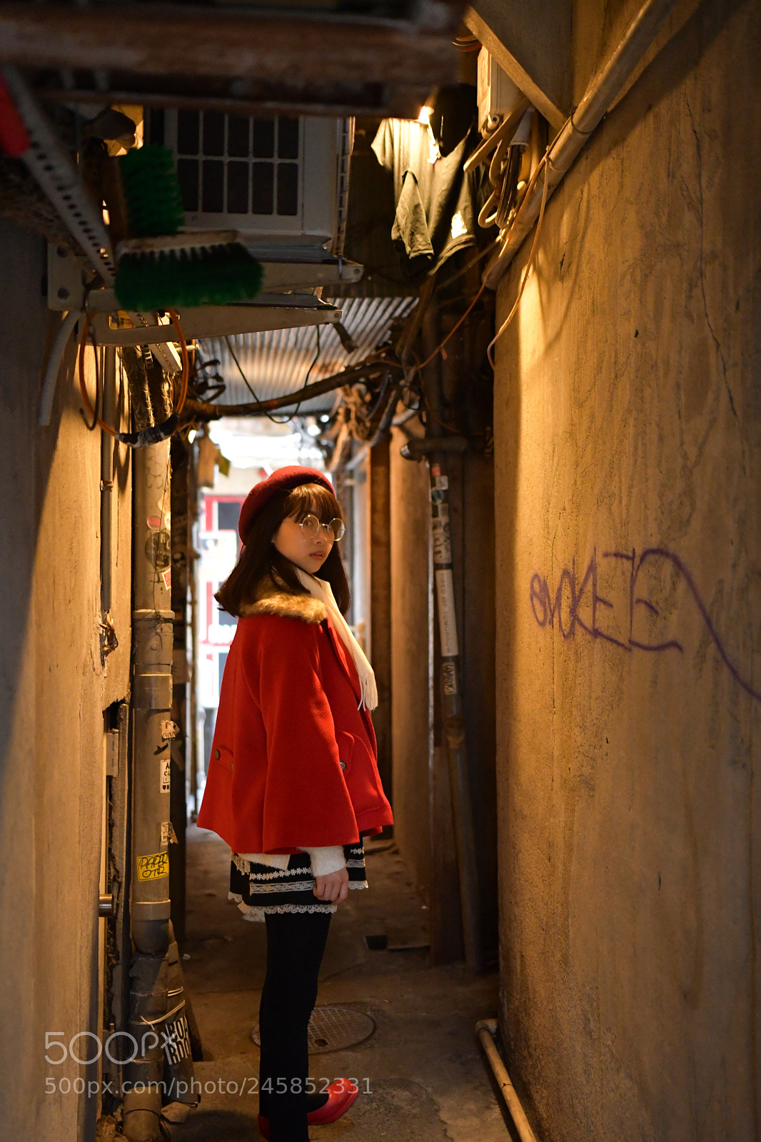Nikon D500 sample photo. Untitled photography