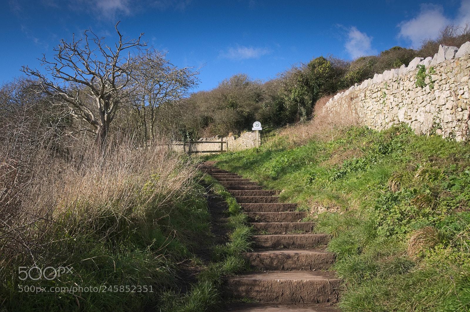 Nikon D300 sample photo. Steps for the taking photography
