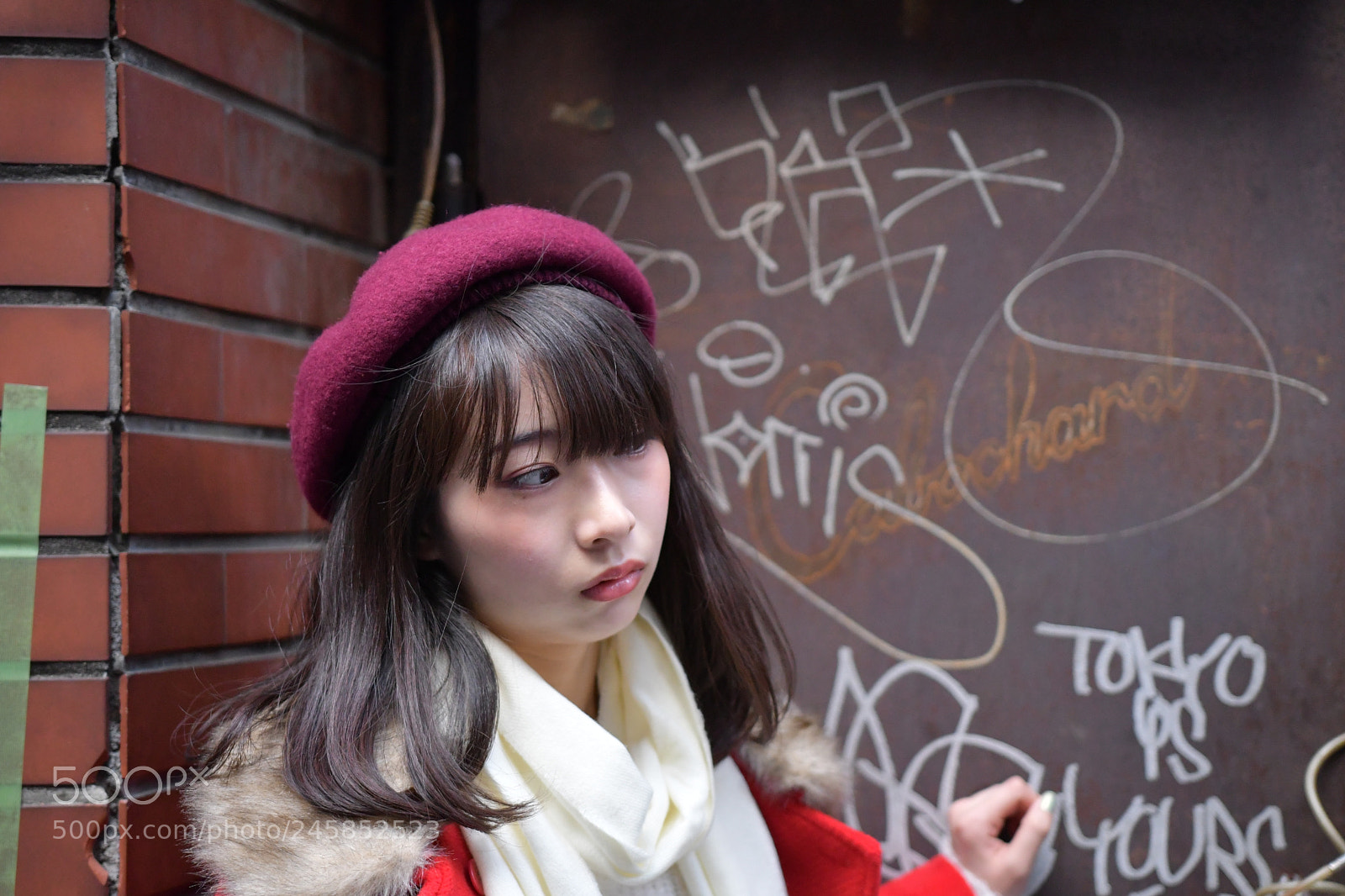 Nikon D500 sample photo. Untitled photography