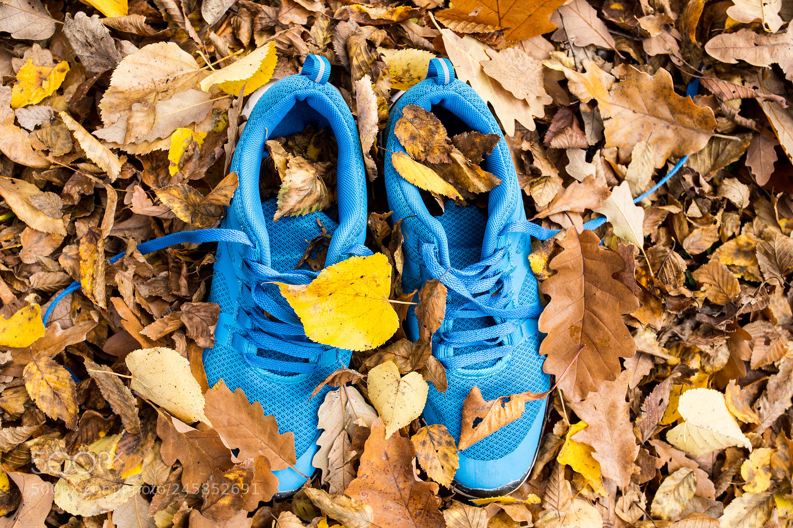 Nikon D4S sample photo. Blue trainers on colorful photography