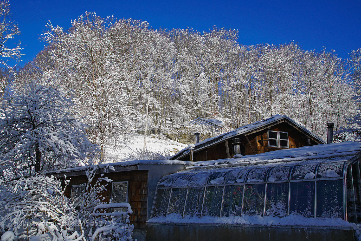 Sony a7R II sample photo. Here comes the sun photography