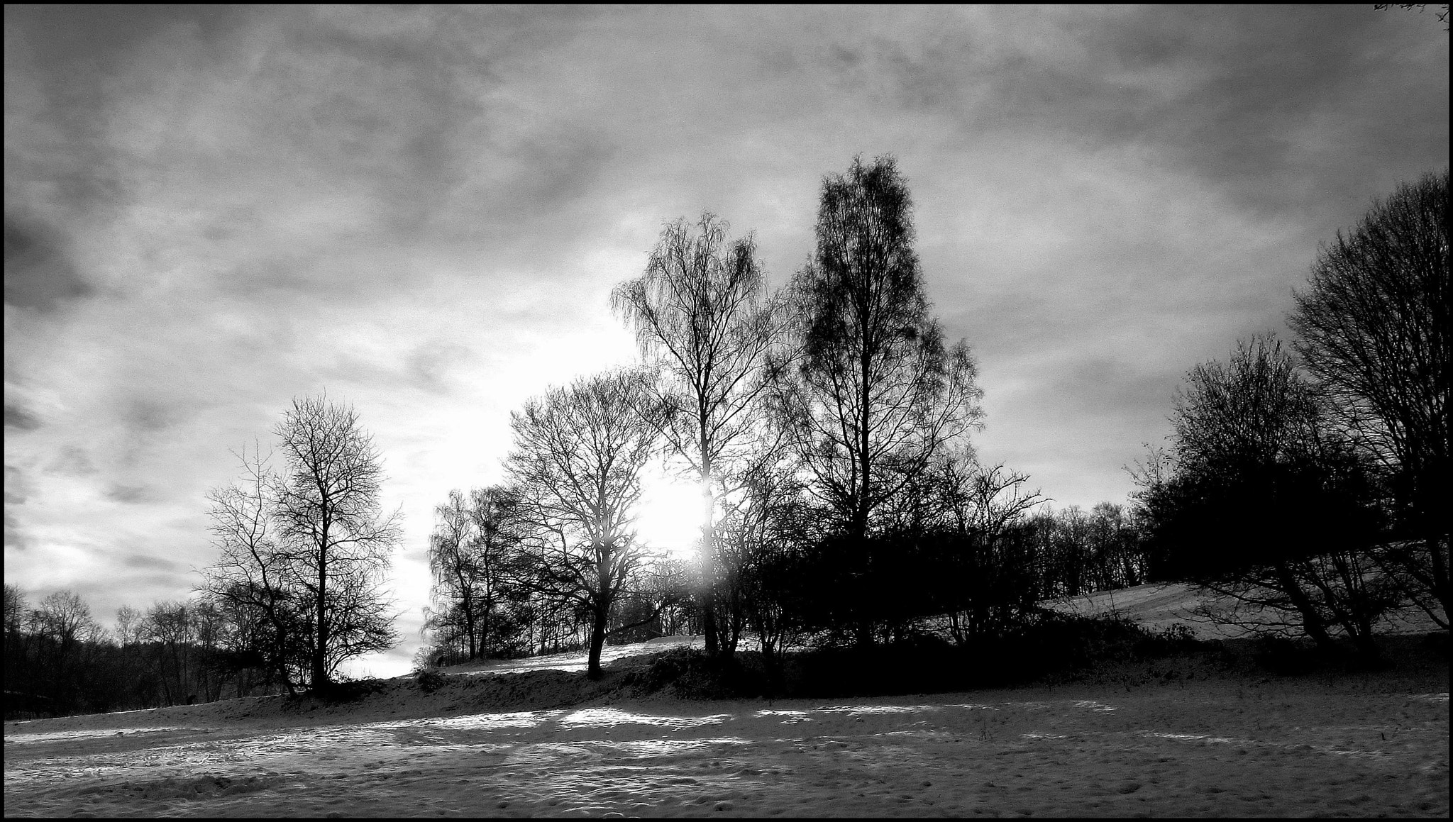 Canon PowerShot SX220 HS sample photo. Frozen winter sun photography