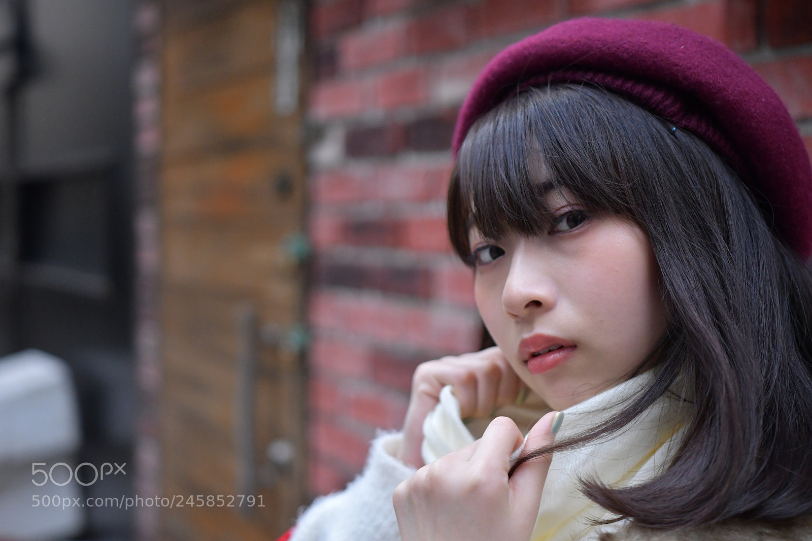 Nikon D500 sample photo. Untitled photography