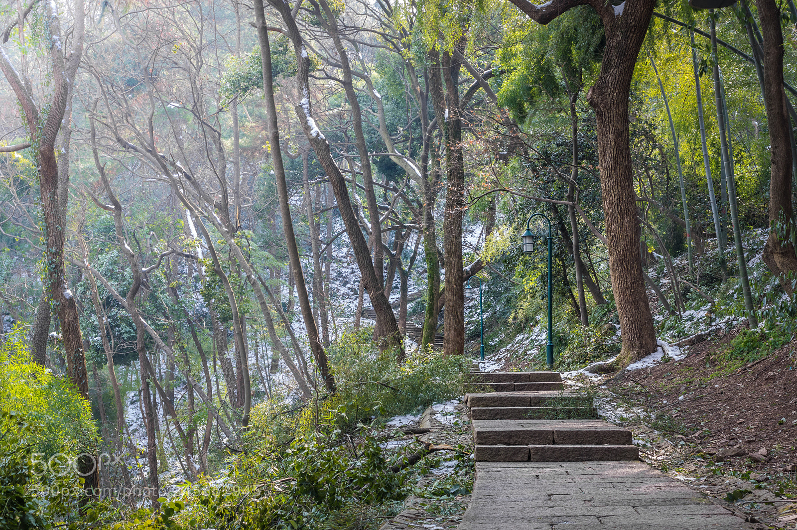 Pentax K-3 II sample photo. Forest walk photography