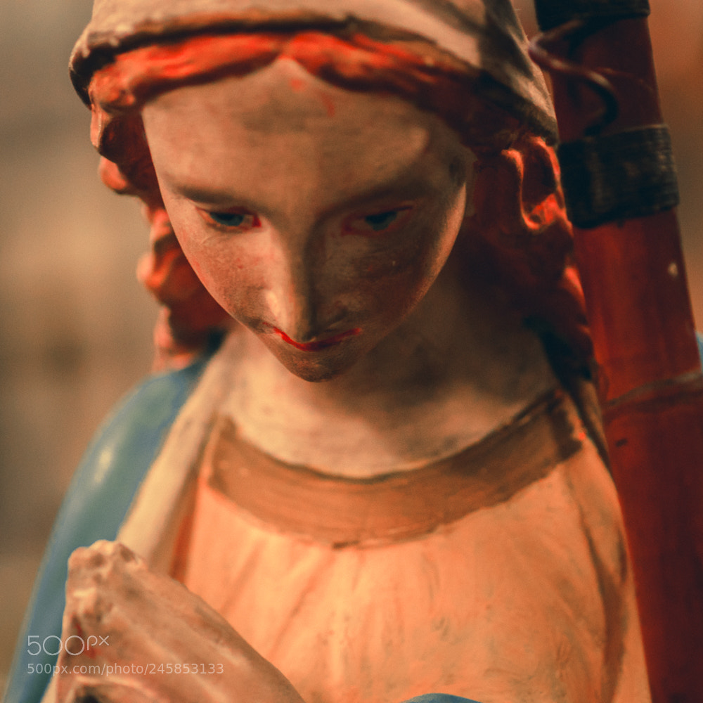 Nikon D5600 sample photo. Statue photography