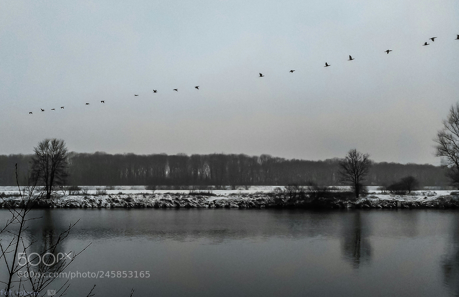 Samsung Galaxy J3(2016) sample photo. Winter photography