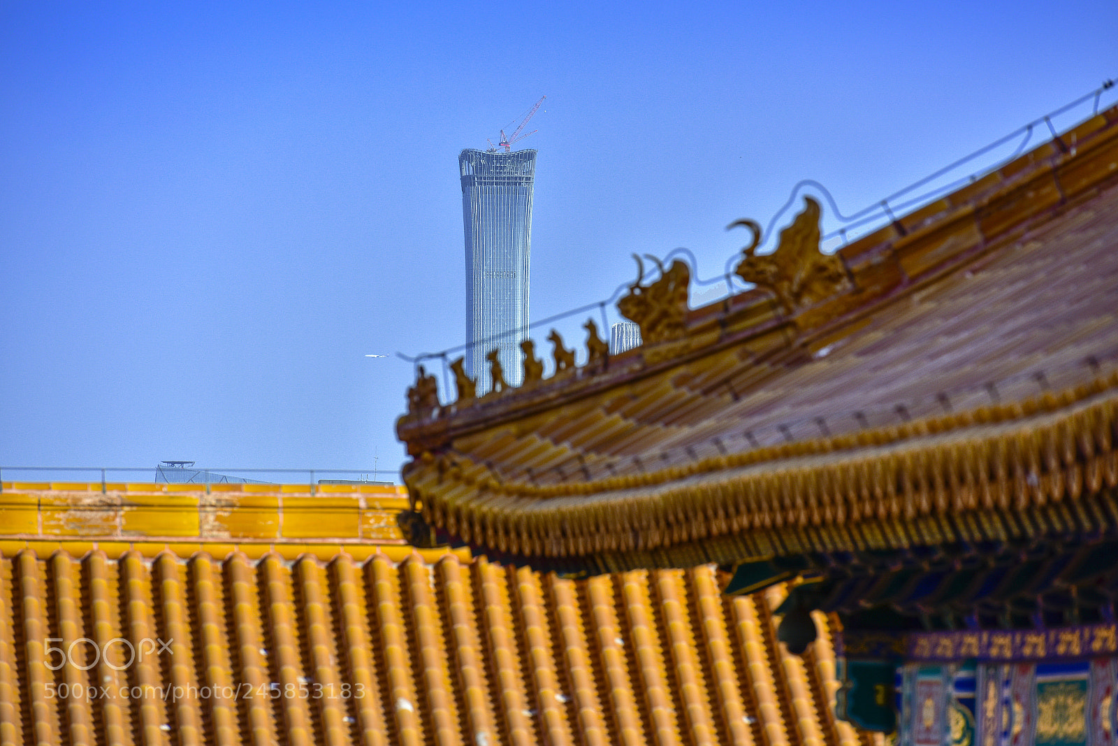 Nikon D810 sample photo. The forbidden city photography