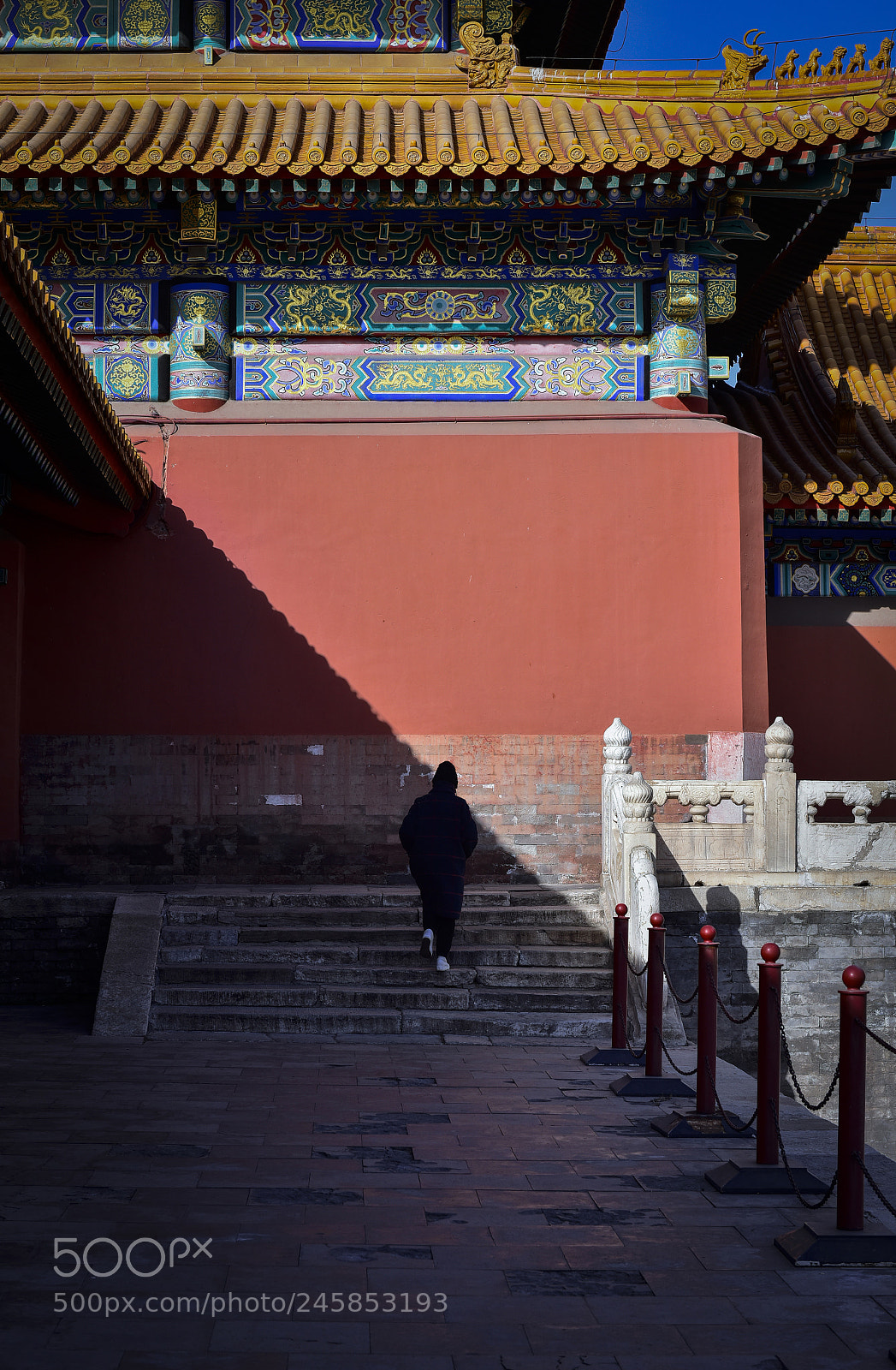 Nikon D810 sample photo. The forbidden city photography