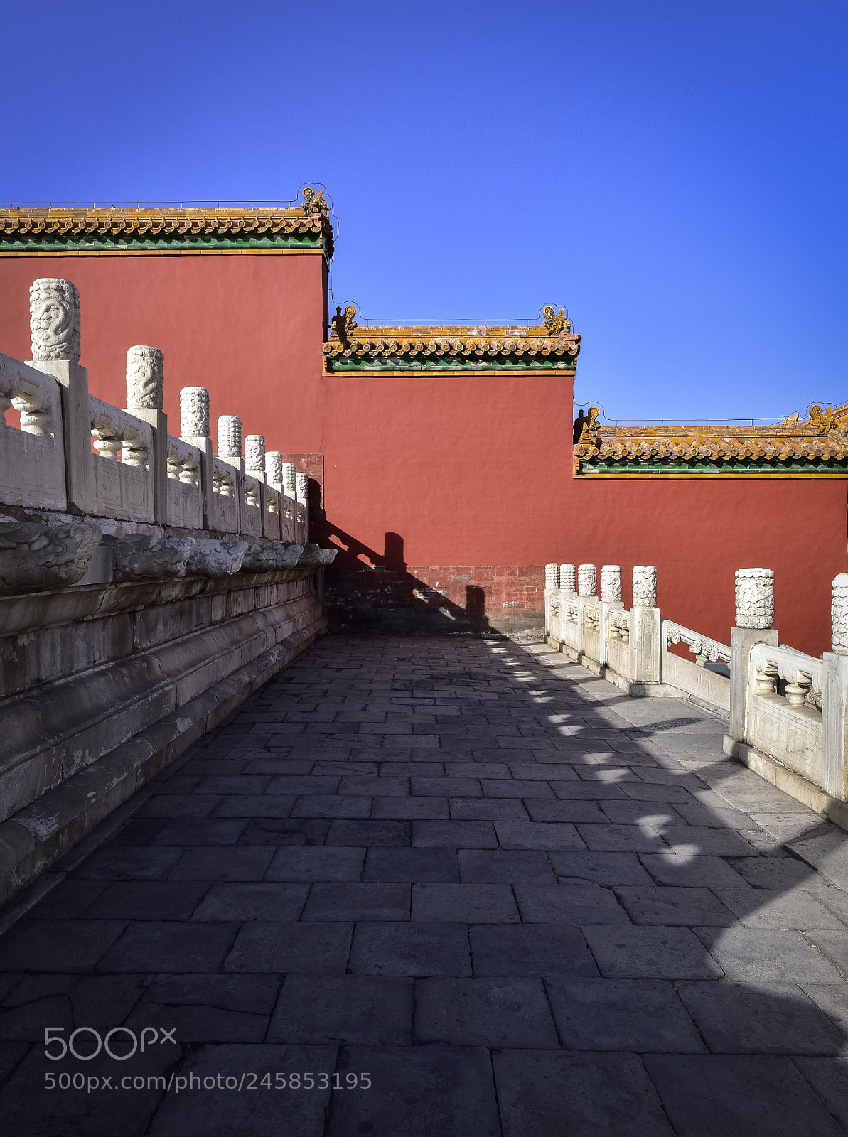 Nikon D810 sample photo. The forbidden city photography