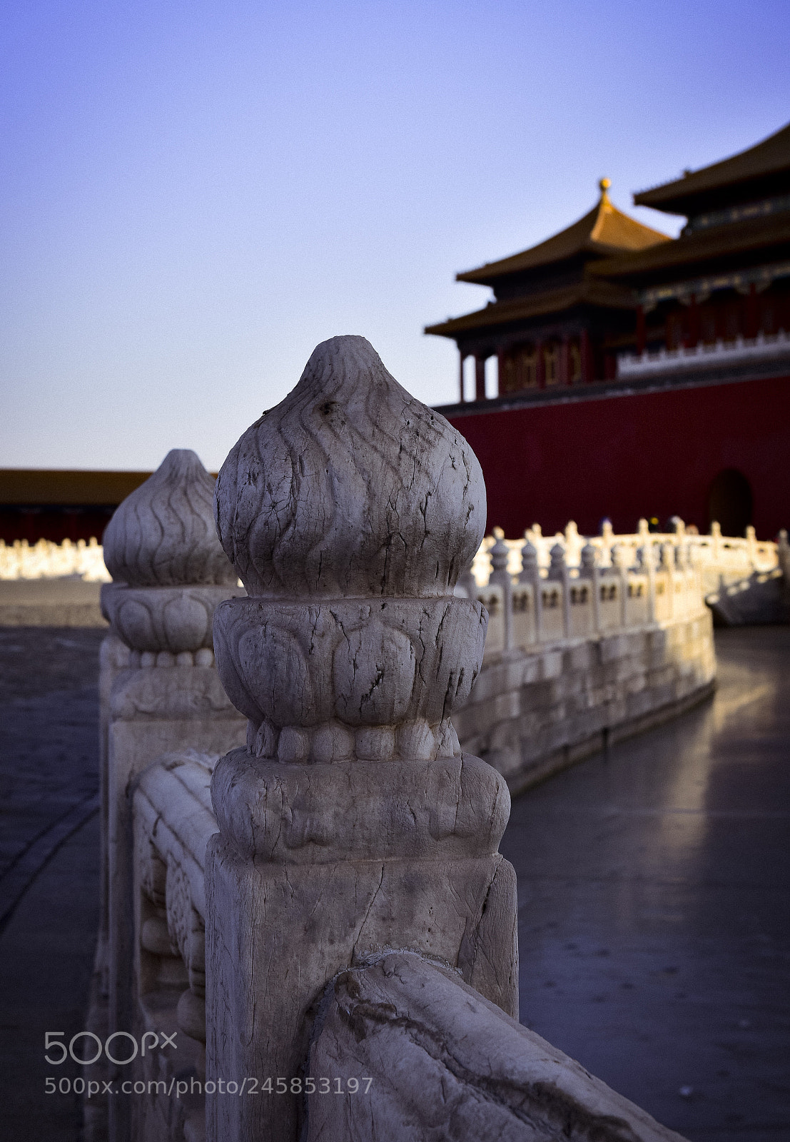 Nikon D810 sample photo. The forbidden city photography