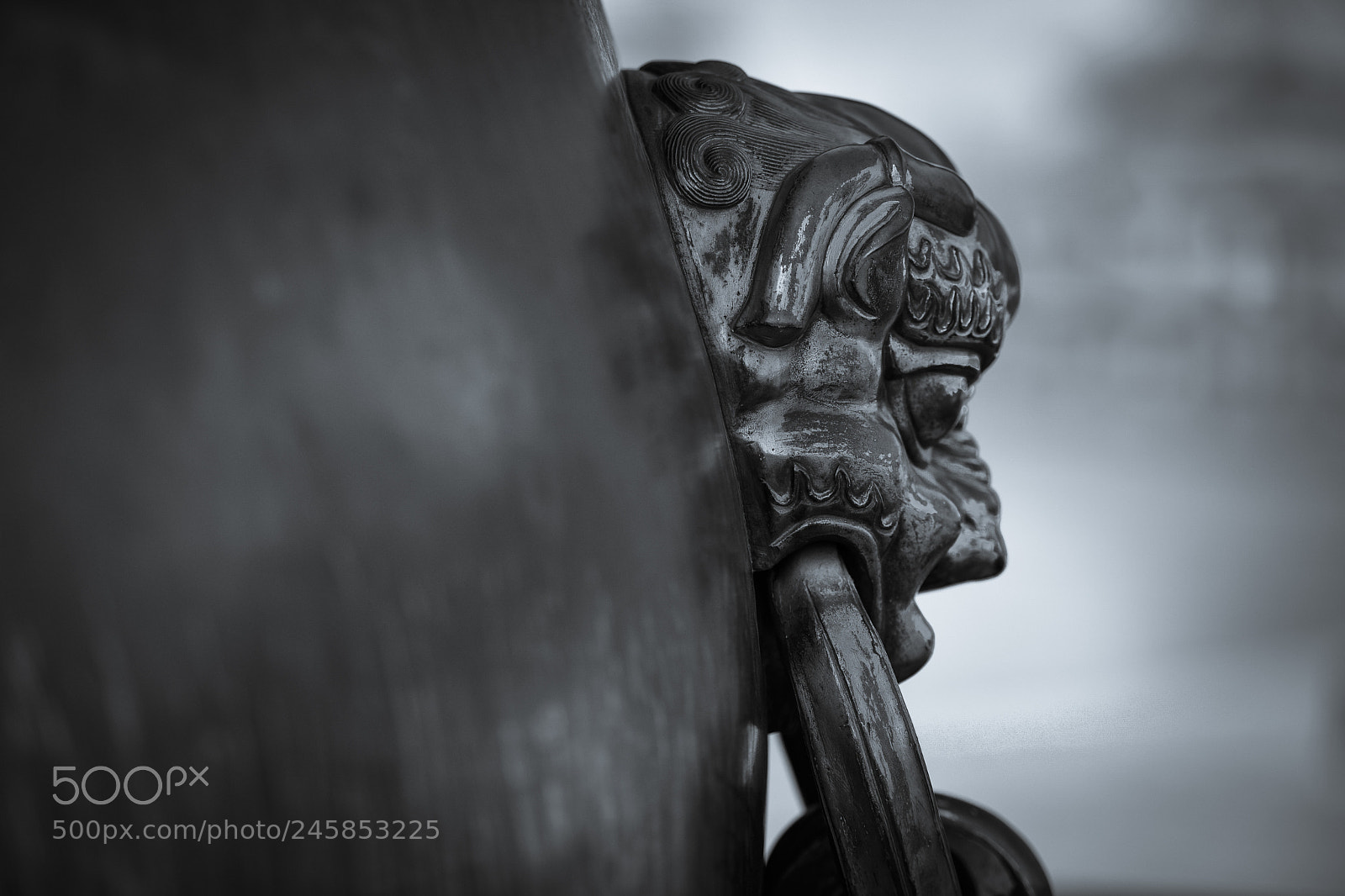 Nikon D810 sample photo. The forbidden city photography