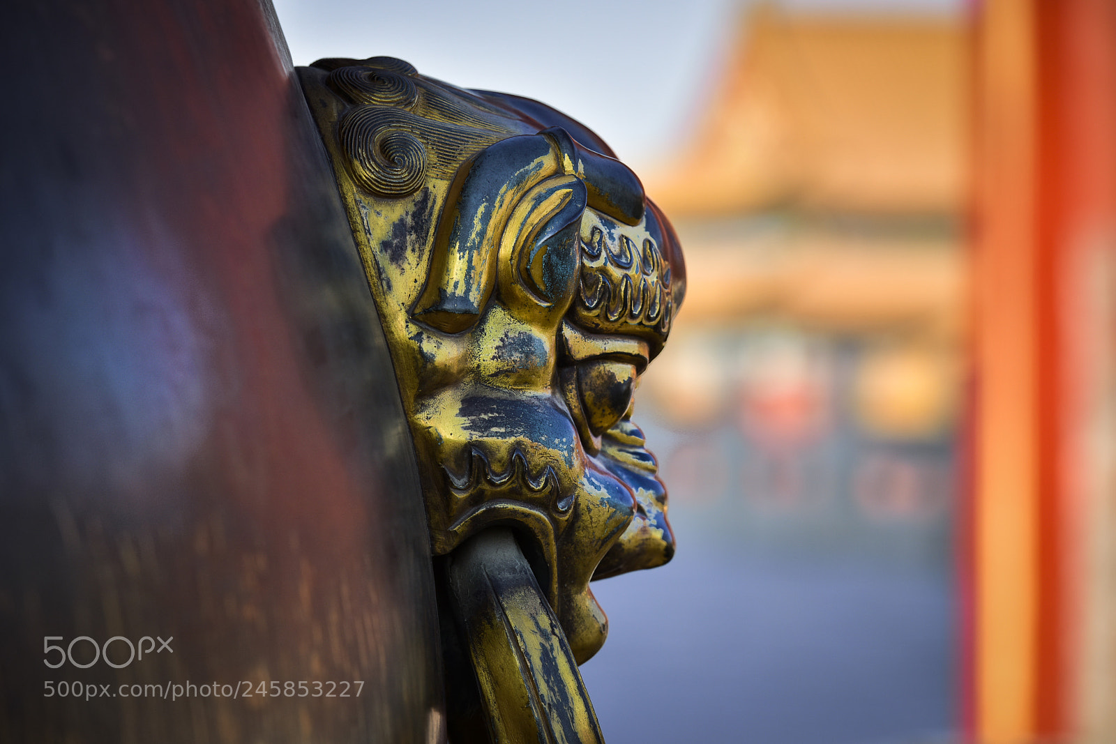 Nikon D810 sample photo. The forbidden city photography