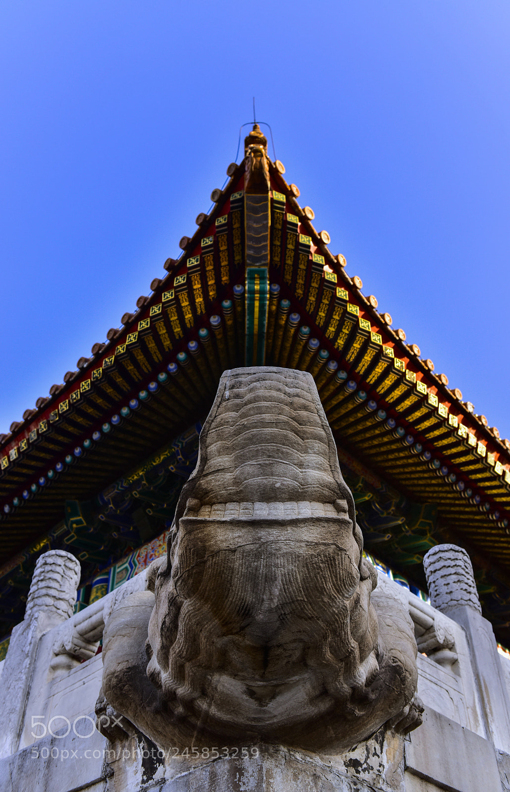 Nikon D810 sample photo. The forbidden city photography