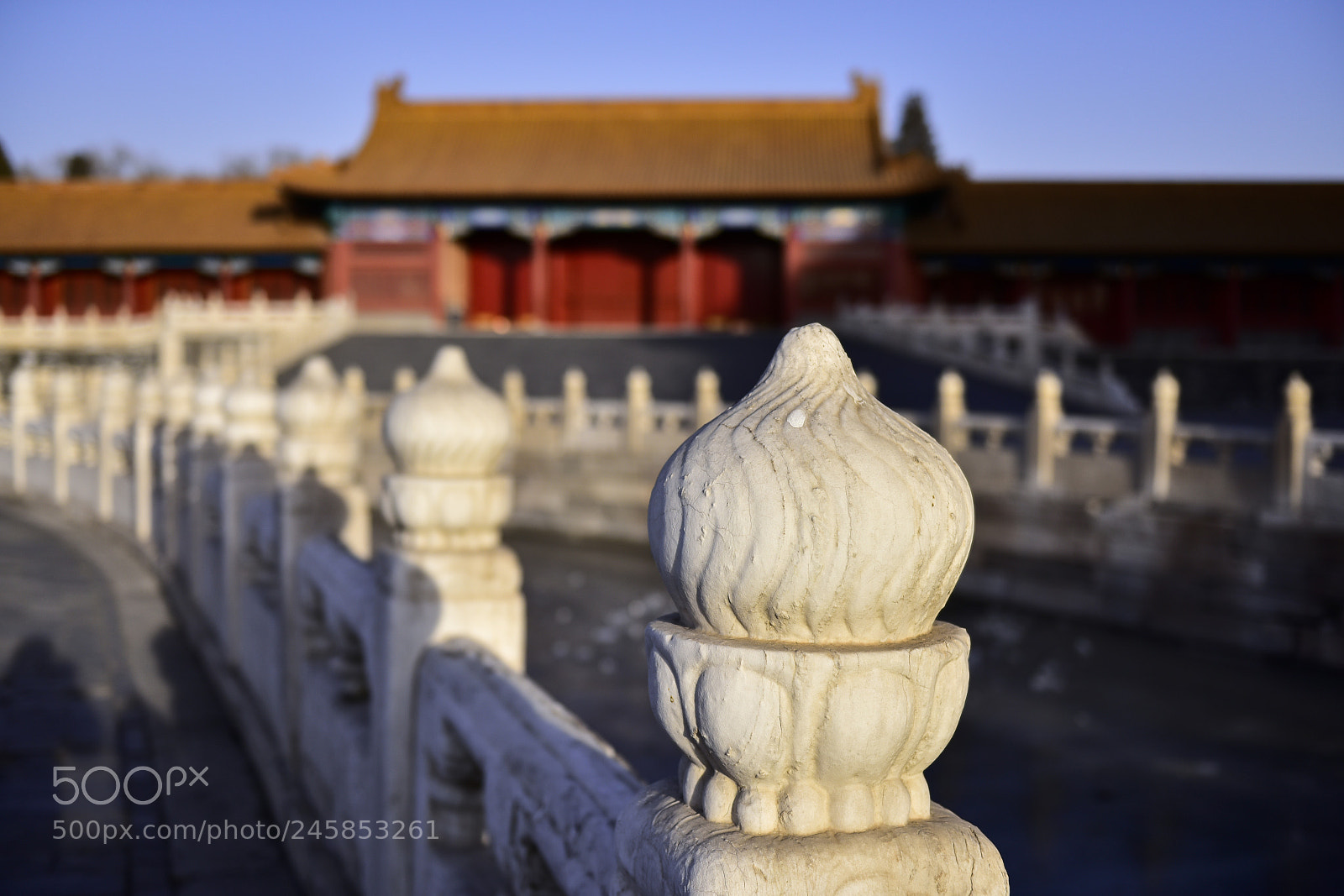 Nikon D810 sample photo. The forbidden city photography