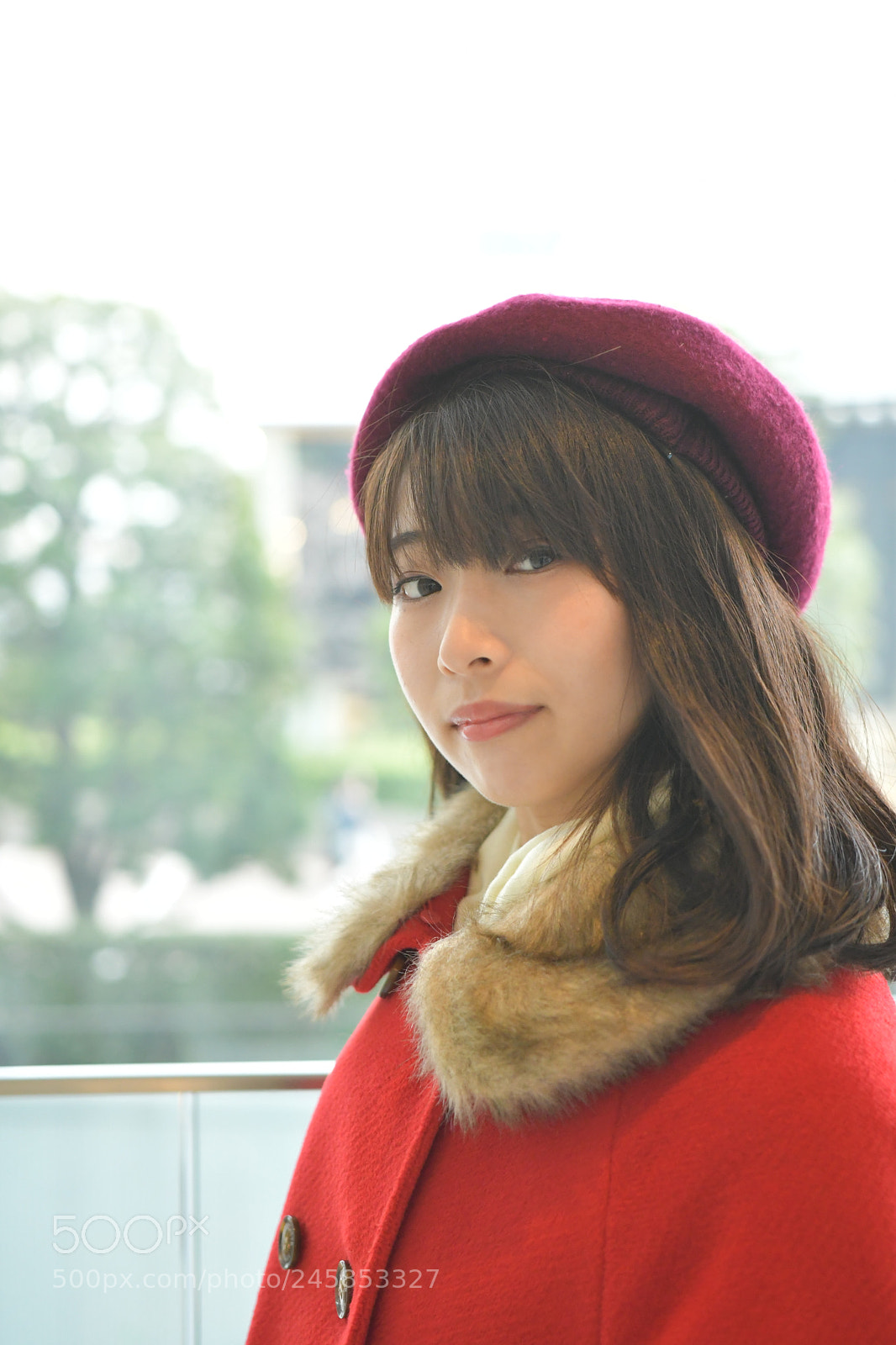 Nikon D500 sample photo. Untitled photography