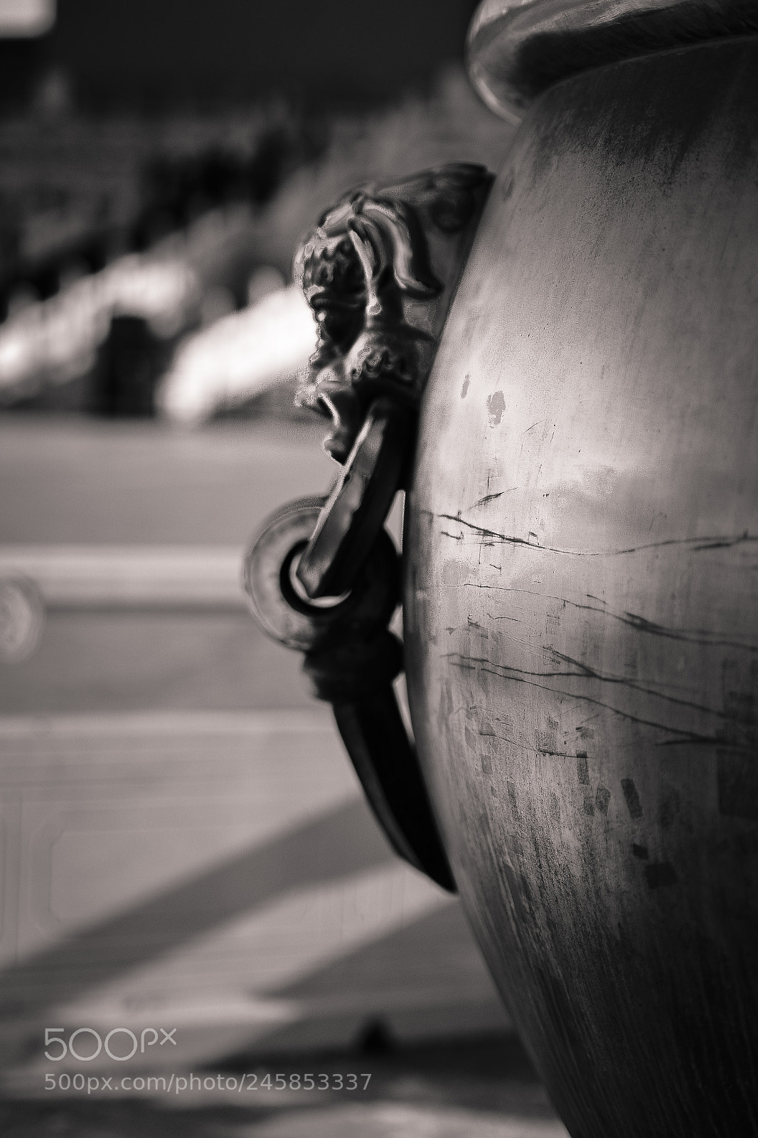 Nikon D810 sample photo. The forbidden city photography