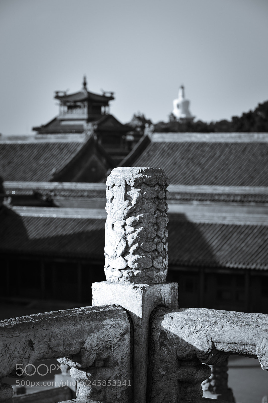 Nikon D810 sample photo. The forbidden city photography