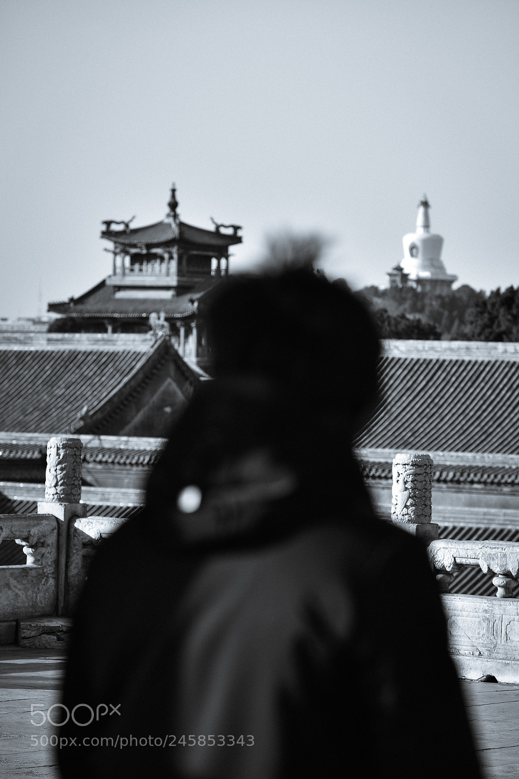 Nikon D810 sample photo. The forbidden city photography