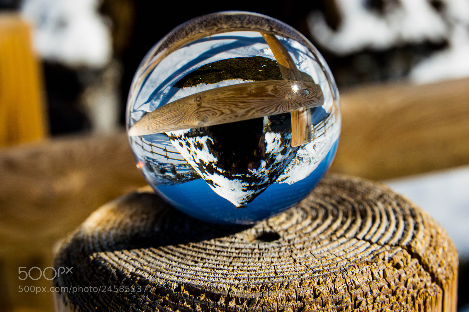Nikon D3200 sample photo. The world upside down. photography