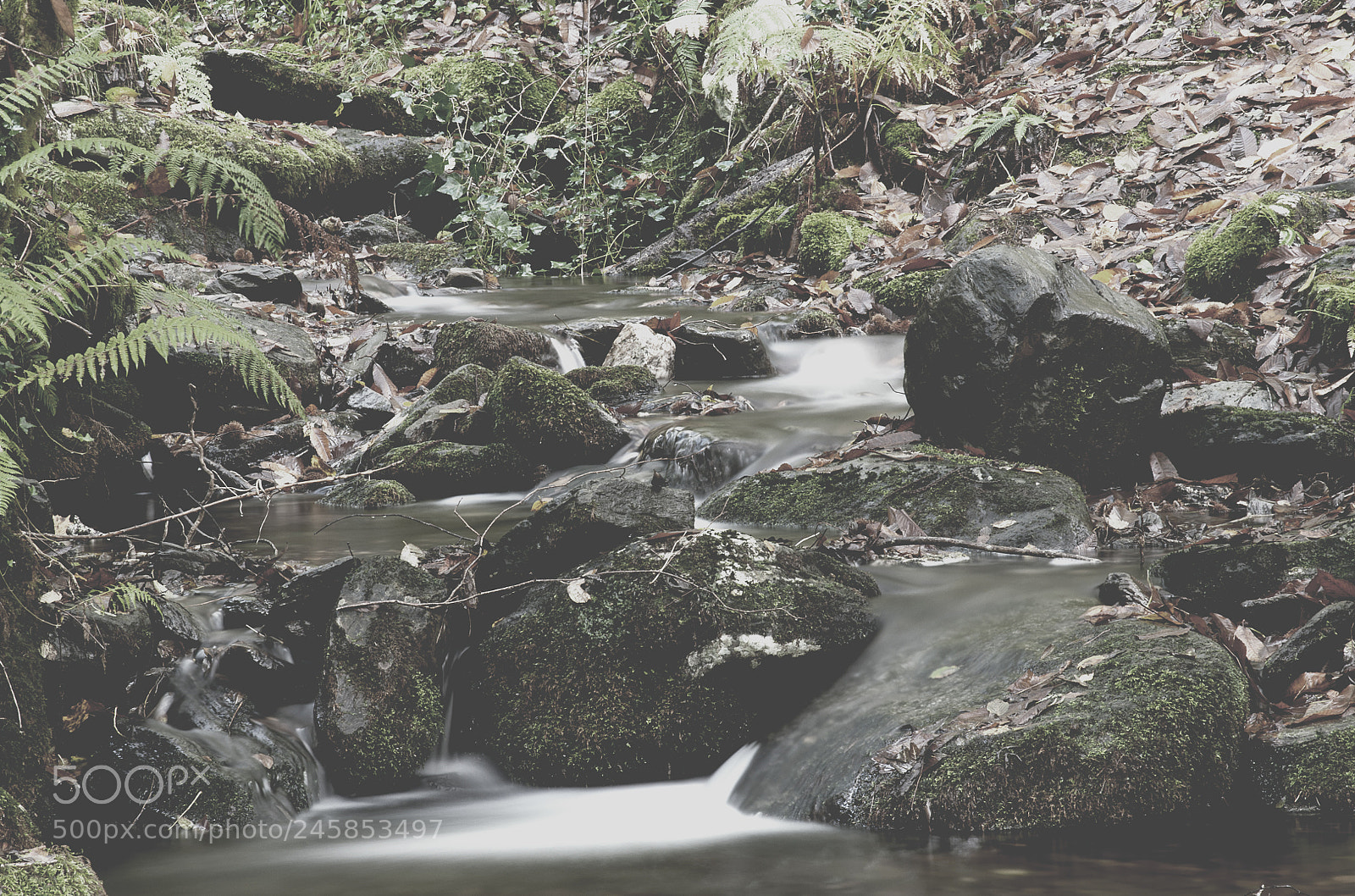 Nikon D90 sample photo. Fragas photography