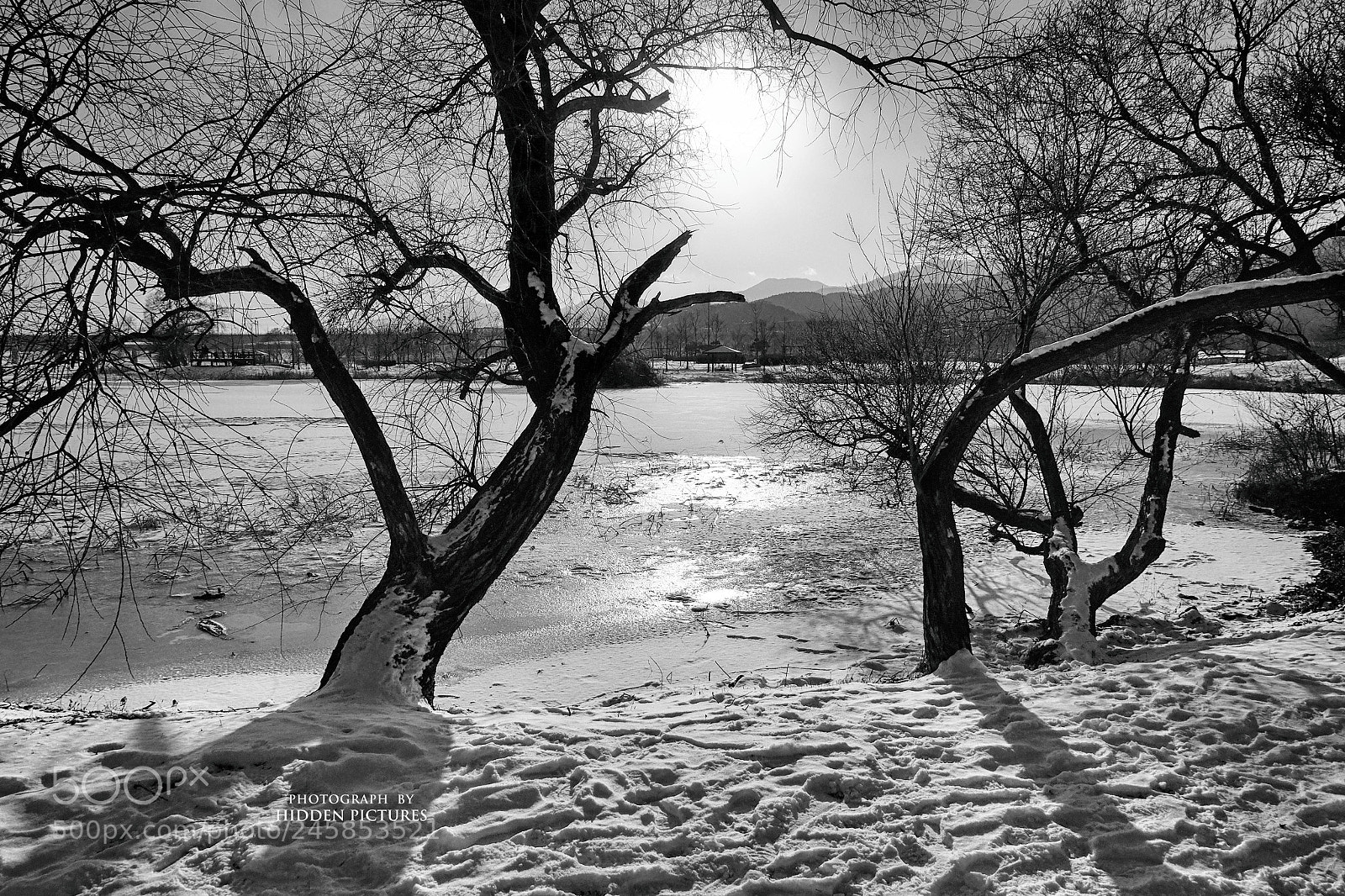 Fujifilm X-T10 sample photo. Untitled photography