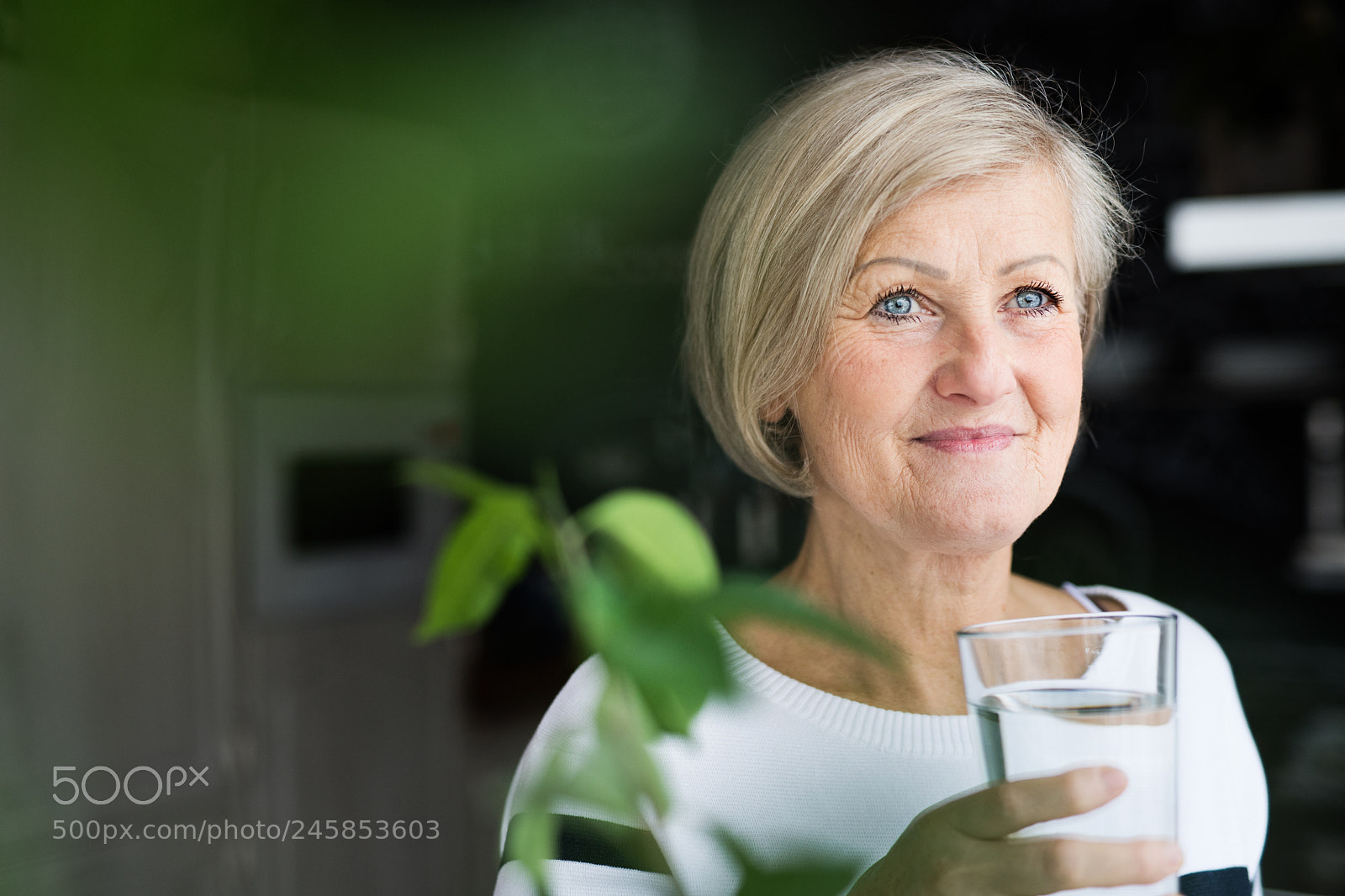 Nikon D5 sample photo. Senior woman holding a photography