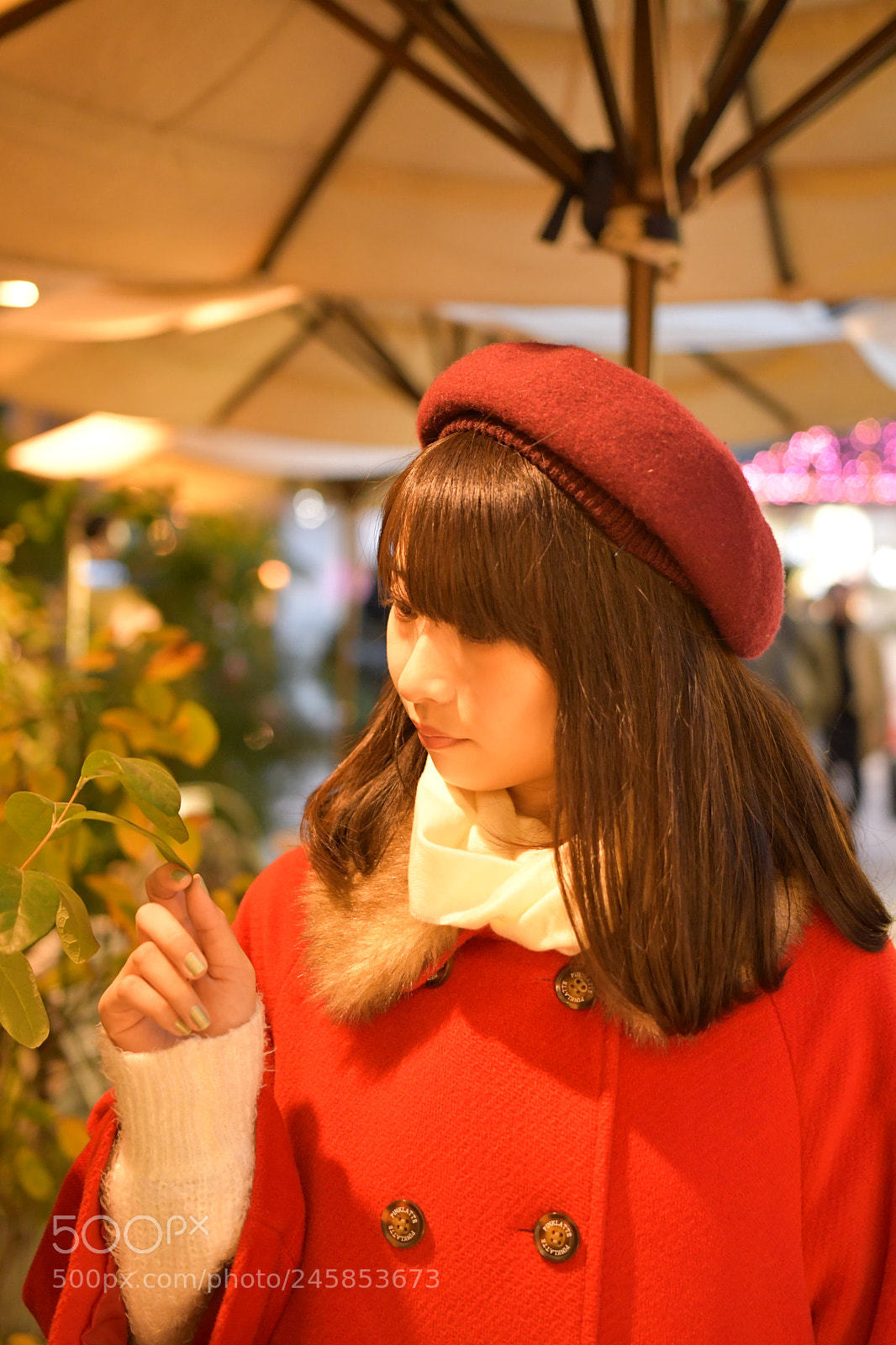 Nikon D500 sample photo. Untitled photography