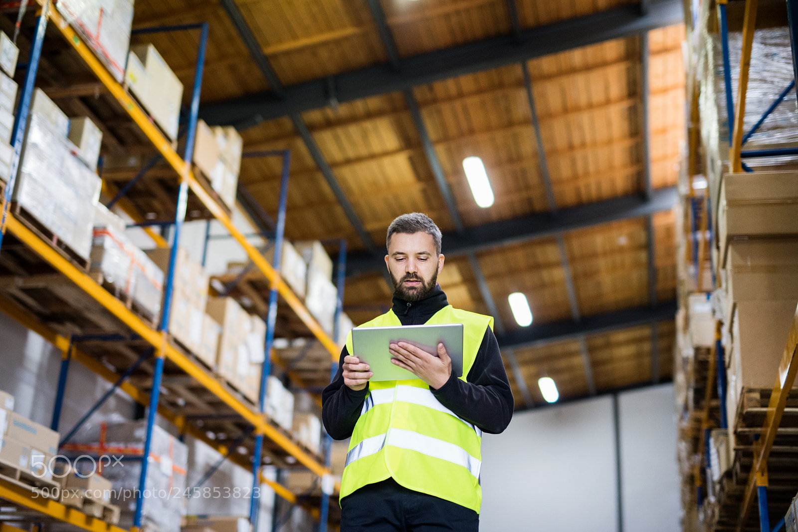 Nikon D5 sample photo. Male warehouse worker with photography