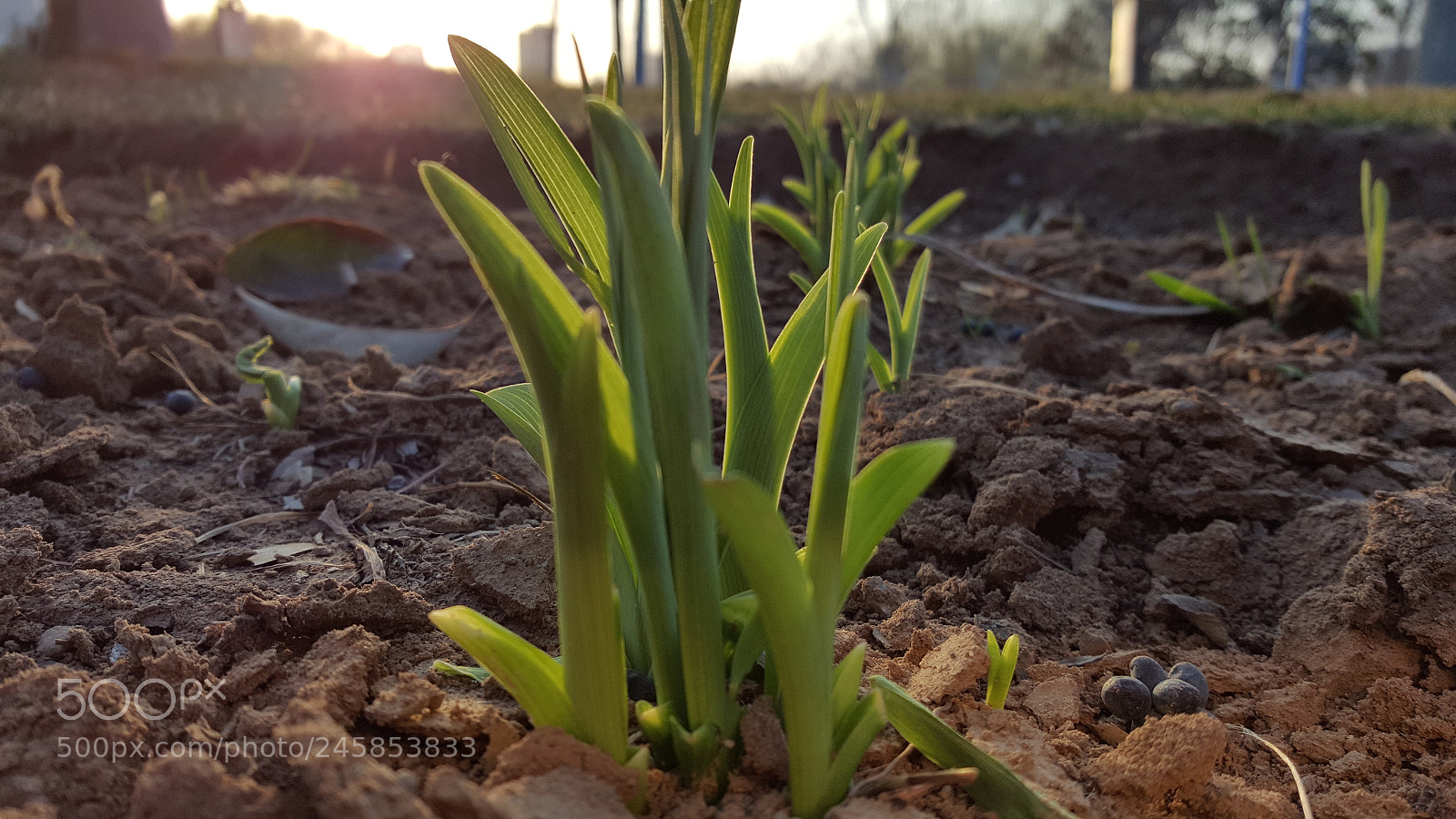 Samsung Galaxy Note5 sample photo. 20160313_174642.jpg photography