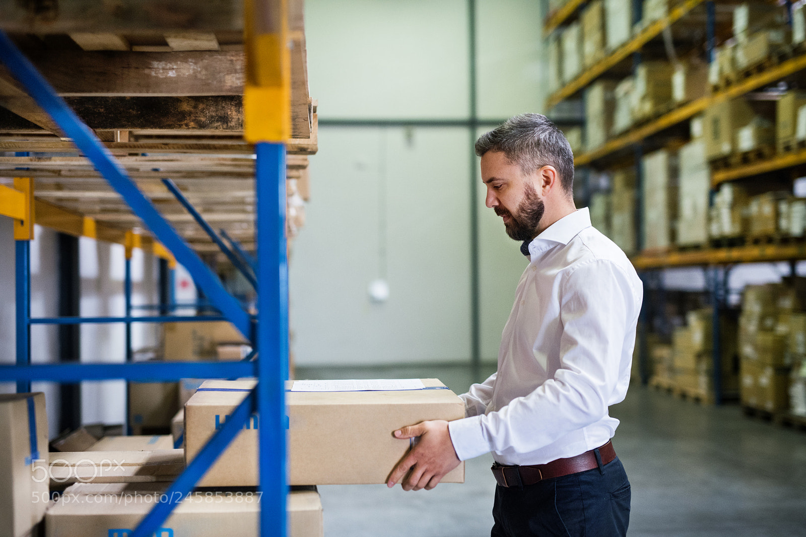 Nikon D5 sample photo. Male warehouse worker or photography
