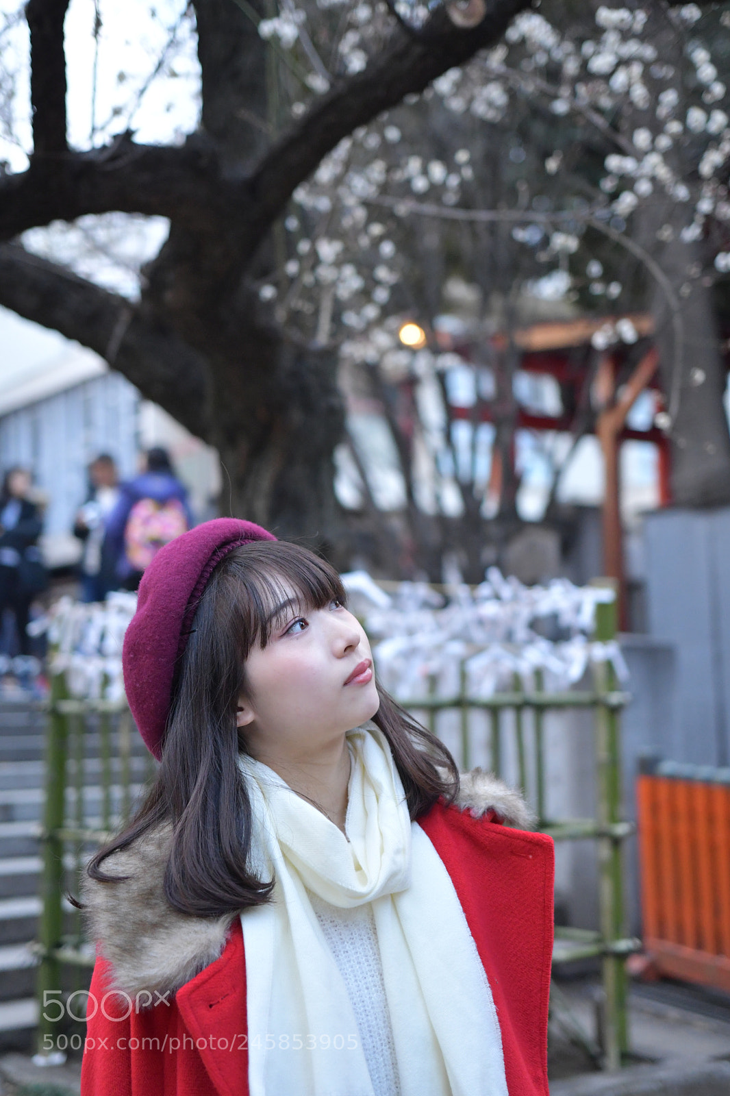 Nikon D500 sample photo. Untitled photography