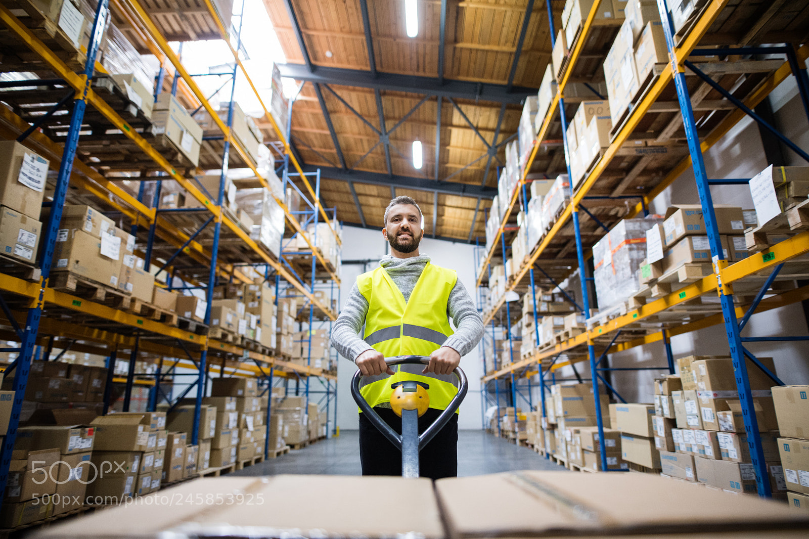 Nikon D5 sample photo. Male warehouse worker pulling photography