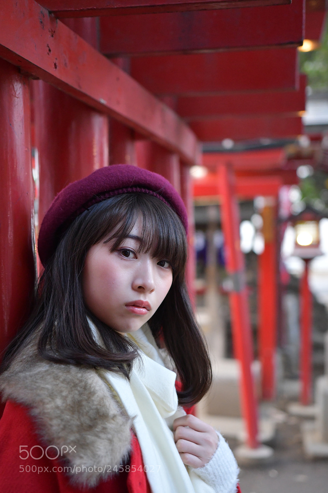Nikon D500 sample photo. Untitled photography