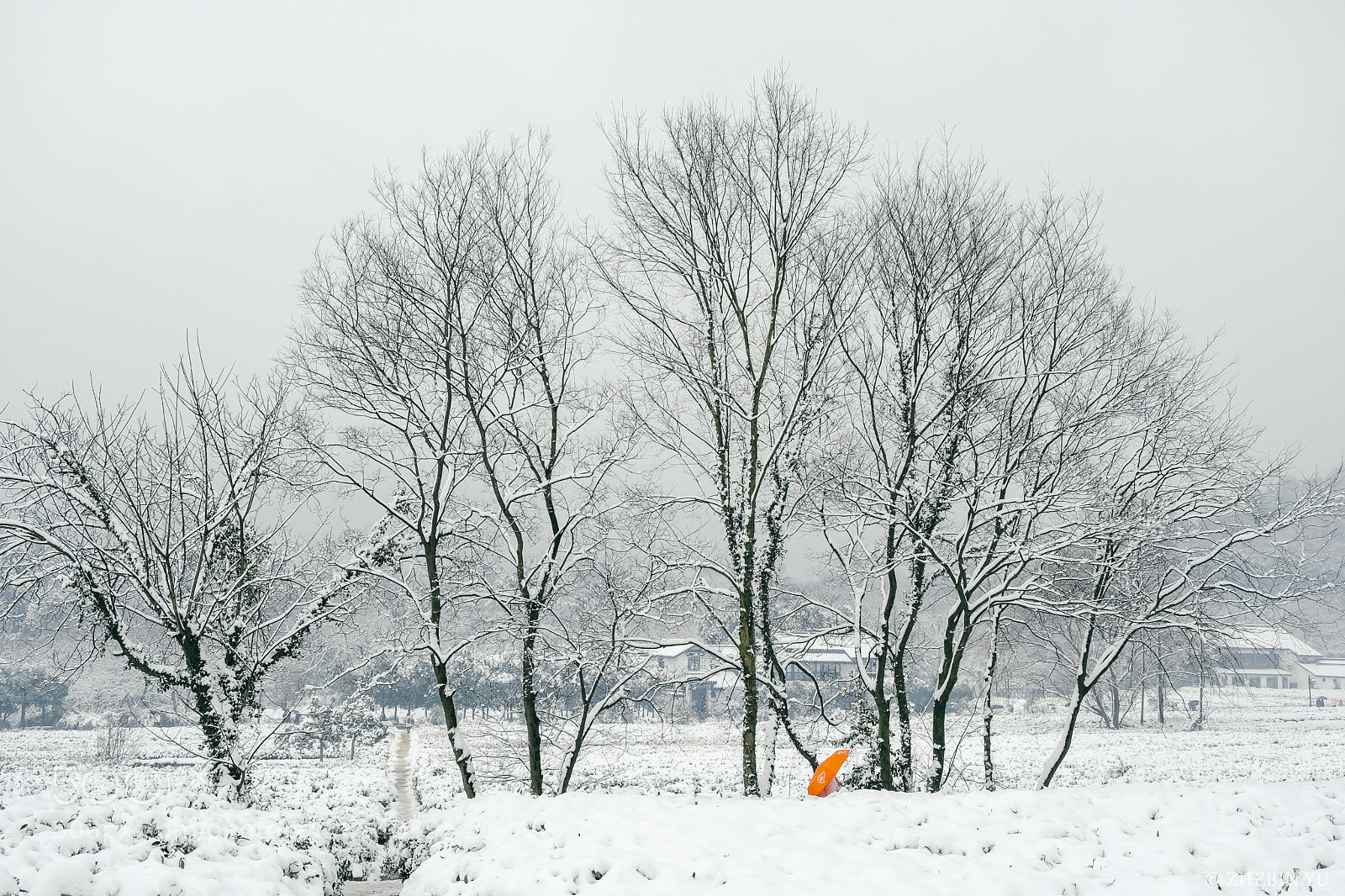 Fujifilm X-Pro2 sample photo. Snow photography