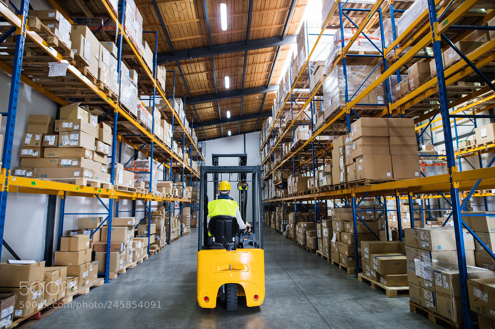 Nikon D5 sample photo. Warehouse man worker with photography